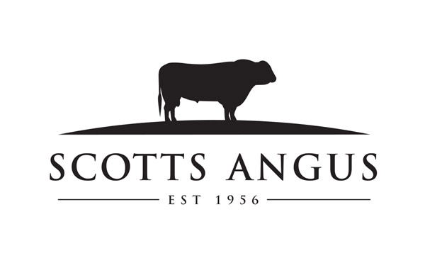 Scotts Angus